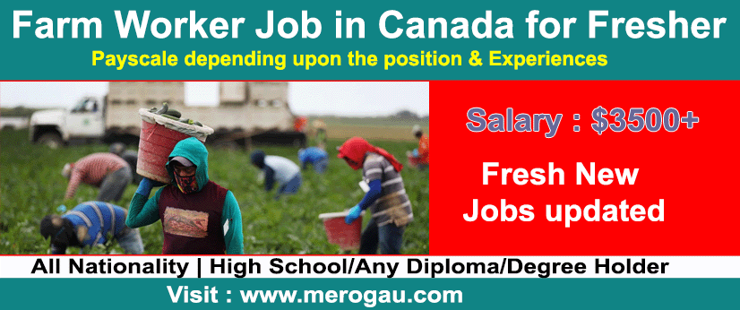 Farm Worker Job in Canada for Fresher 2022 (Latest New Job Updated)